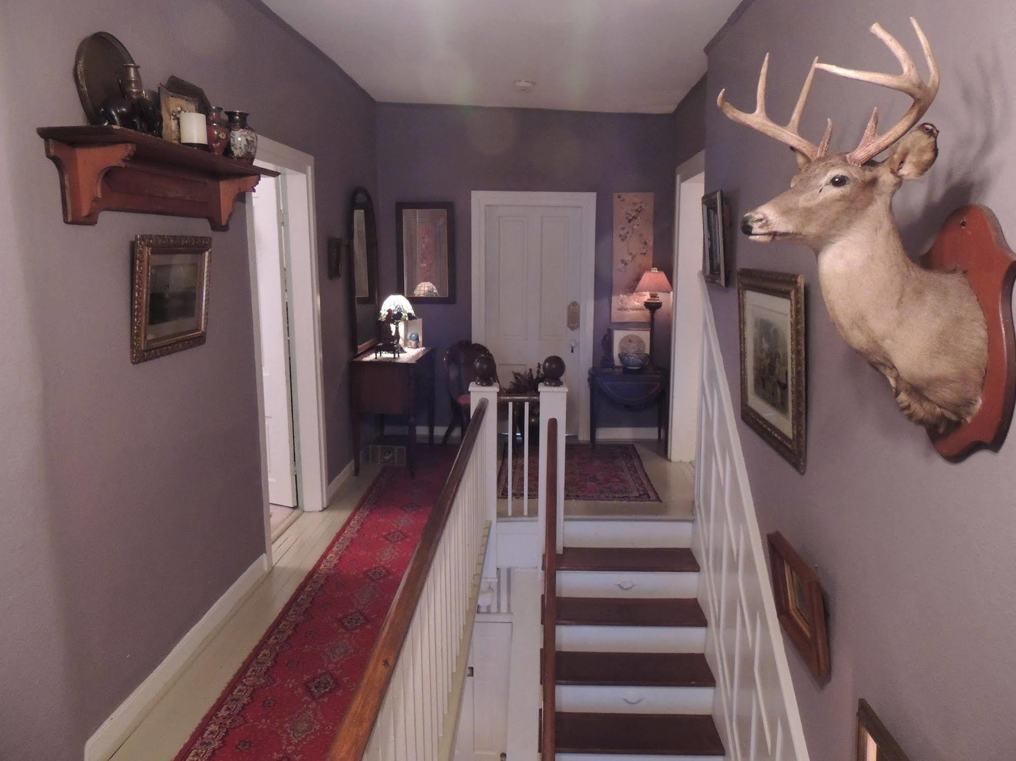 1868 Magnolia House Inn Lexington Luaran gambar